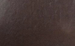 Polsterstuhl Gasparo | Dunkelbraun 9 Polsterstuhl Gasparo | Dunkelbraun -SitzWerk Verkaufsgeschäft 10314473 2 201811271452