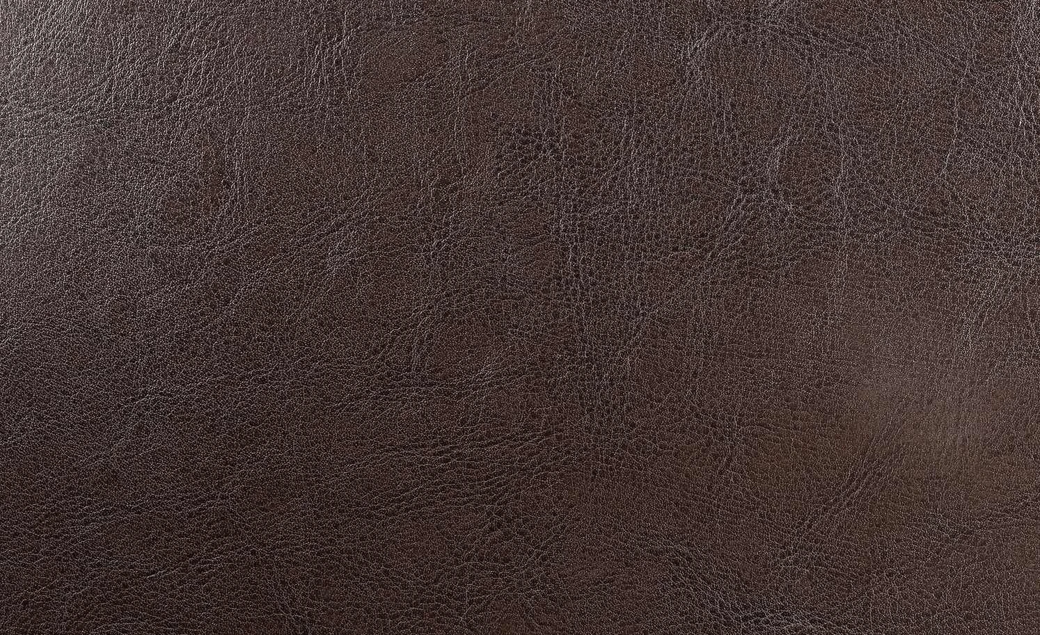 Polsterstuhl Gasparo | Dunkelbraun 5 Polsterstuhl Gasparo | Dunkelbraun – Bild 3