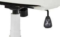 Bürodrehstuhl Biese -SitzWerk Verkaufsgeschäft 10358153 8 201811271511