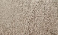 Polsterstuhl Top-Chairs | Natur (Beige) Eiche San Remo -SitzWerk Verkaufsgeschäft 11303192 6 201811271501