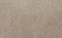 Polsterstuhl Top-Chairs | Natur (Beige) Eiche San Remo -SitzWerk Verkaufsgeschäft 11303192 7 201811271501