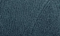 Polsterstuhl Top-Chairs | Blau Kernbuche -SitzWerk Verkaufsgeschäft 11303224 2 201811271528