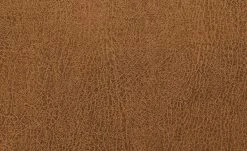 Polsterstuhl Top-Chairs | Terracotta Eiche San Remo -SitzWerk Verkaufsgeschäft 11303228 1 201811271535