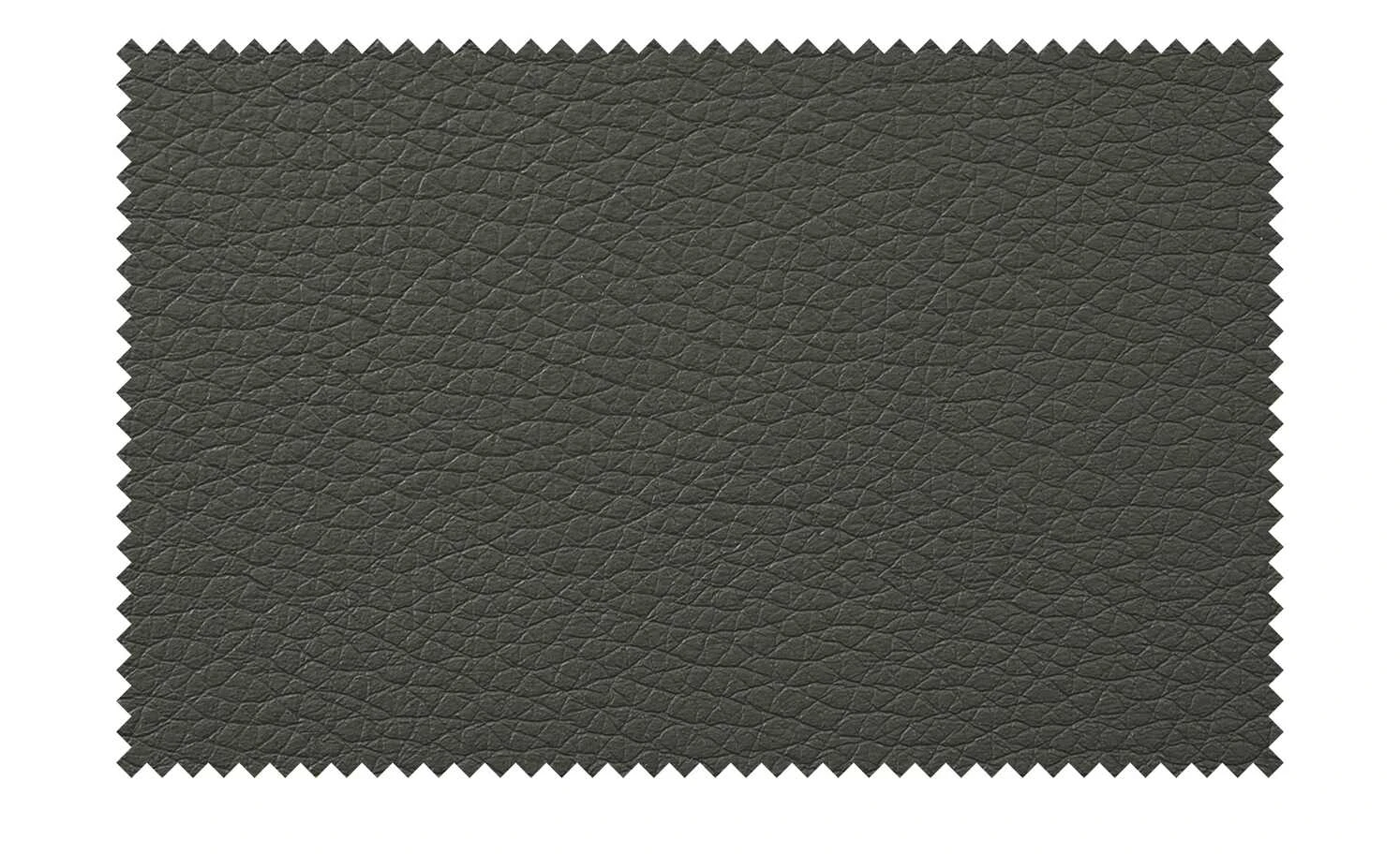 Wohnwert Freischwinger Paavo | Fango (Anthrazit) Nein 8 Wohnwert Freischwinger Paavo | Fango (Anthrazit) Nein – Bild 6