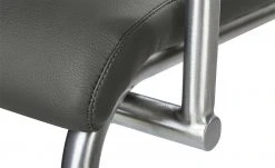 Wohnwert Freischwinger Paavo | Fango (Anthrazit) Ja -SitzWerk Verkaufsgeschäft 11309198 7 202009282318