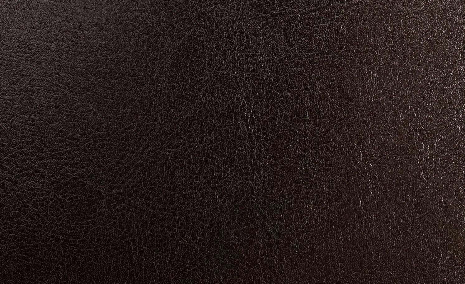 Polsterstuhl Gattuso | Dunkelbraun 8 Polsterstuhl Gattuso | Dunkelbraun – Bild 6