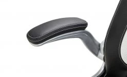 Chefsessel Fluvia -SitzWerk Verkaufsgeschäft 11350446 6 201811271608