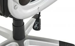 Chefsessel Fluvia -SitzWerk Verkaufsgeschäft 11350446 8 201811271608