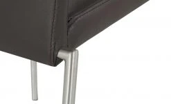 Polsterstuhl stapelbar Bistro | Dunkelbraun -SitzWerk Verkaufsgeschäft 12302407 4 202012222234