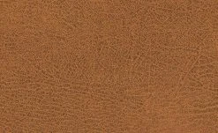 Polsterstuhl Top-Chairs | Terracotta Eiche 5 Polsterstuhl Top-Chairs | Terracotta Eiche -SitzWerk Verkaufsgeschäft 12302413 1 201811271509