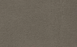 Polsterstuhl Top-Chairs | Savannah (Braun) Eiche -SitzWerk Verkaufsgeschäft 12302416 2 201811271509