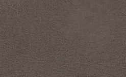 Polsterstuhl Top-Chairs | Graphit (Grau) Eiche -SitzWerk Verkaufsgeschäft 12302417 1 201811271509