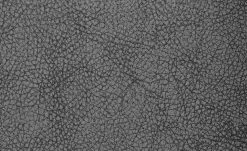 Polsterstuhl 2er Set Buche anthrazit Marlon -SitzWerk Verkaufsgeschäft 12302880 5 201811271507