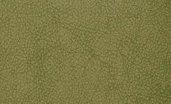 Polsterstuhl 2er Set Buche kiwi Marlon -SitzWerk Verkaufsgeschäft 12302883 2 201811271507