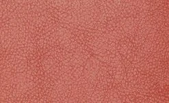 Polsterstuhl 2er Set Buche rot Marlon -SitzWerk Verkaufsgeschäft 12302884 2 201811271507