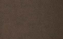 Polsterstuhl 2er Set Buche braun Marc -SitzWerk Verkaufsgeschäft 12302913 3 201811271507