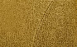 Polsterstuhl Top-Chairs | Gelb Eiche San Remo 11 Polsterstuhl Top-Chairs | Gelb Eiche San Remo -SitzWerk Verkaufsgeschäft 12307007 1 201811271535