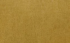 Polsterstuhl Top-Chairs | Gelb Eiche San Remo 15 Polsterstuhl Top-Chairs | Gelb Eiche San Remo -SitzWerk Verkaufsgeschäft 12307007 6 201811271535