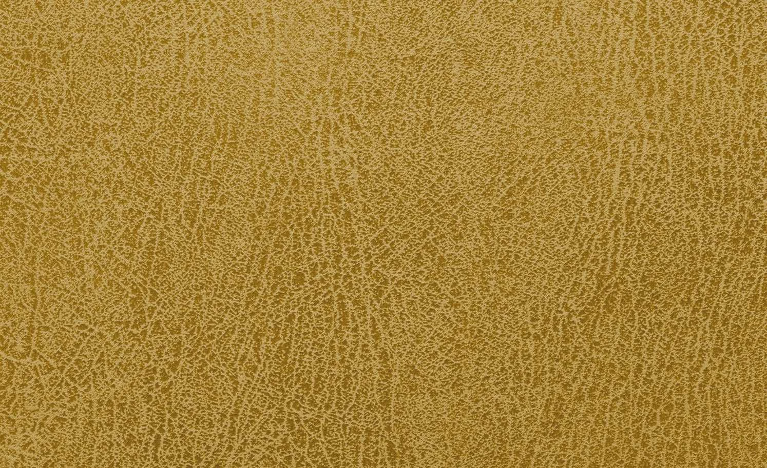 Polsterstuhl Top-Chairs | Gelb Eiche San Remo 8 Polsterstuhl Top-Chairs | Gelb Eiche San Remo – Bild 6