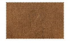 Polsterstuhl Top-Chairs | Terracotta Kernbuche -SitzWerk Verkaufsgeschäft 12307011 3 201811271528