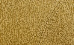 Polsterstuhl Top-Chairs | Gelb Kernbuche 12 Polsterstuhl Top-Chairs | Gelb Kernbuche -SitzWerk Verkaufsgeschäft 12307012 1 201811271528