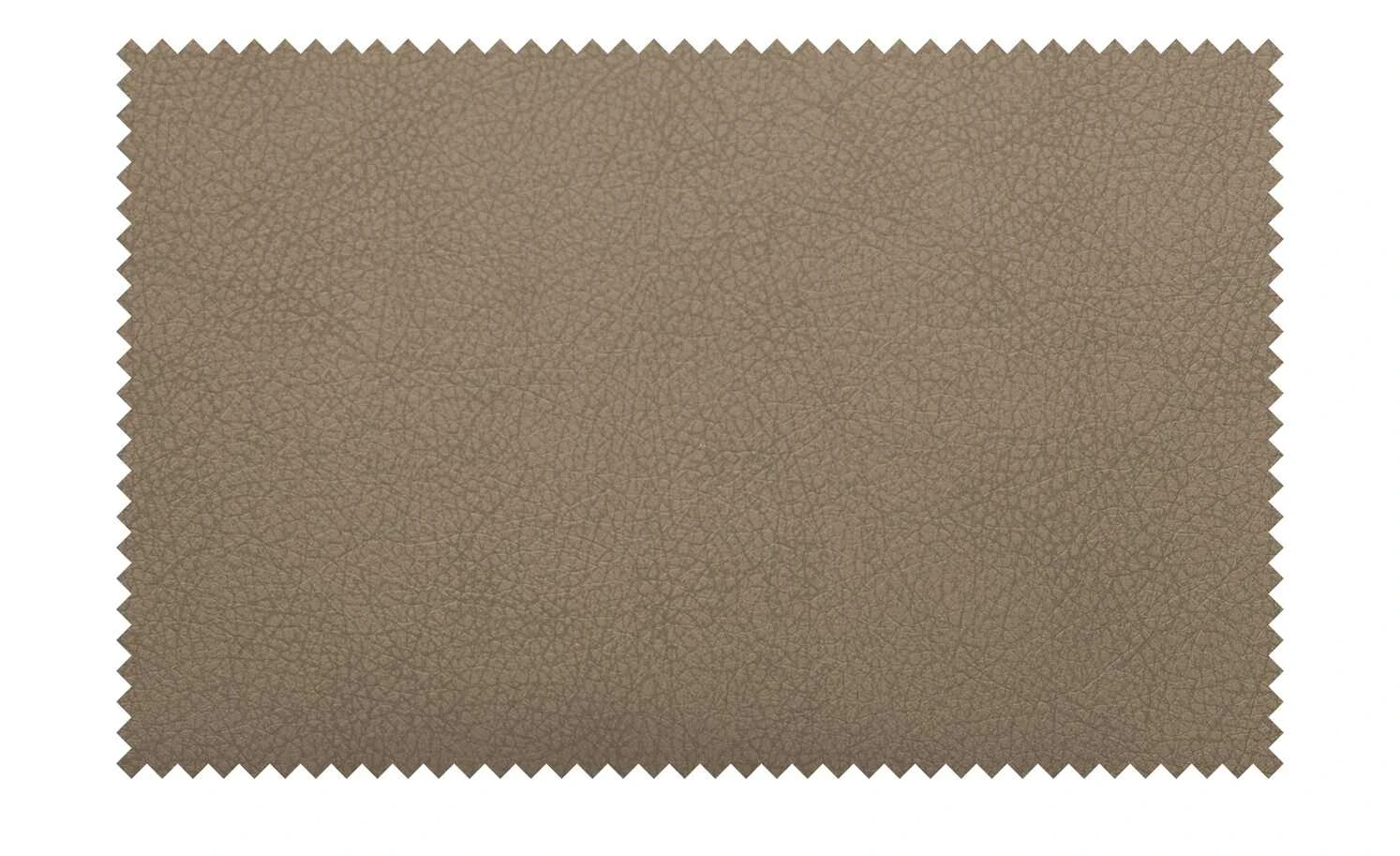 uno Kufenstuhl Lena | Taupe Edelstahl 8 uno Kufenstuhl Lena | Taupe Edelstahl – Bild 6