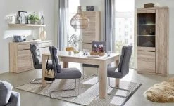 Schwingstuhl Tamme | Grau silberfarben -SitzWerk Verkaufsgeschäft 12308630 10 202209170030