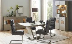 Schwingstuhl Tamme | Grau silberfarben -SitzWerk Verkaufsgeschäft 12308630 7 201907232252