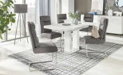 Schwingstuhl Tamme | Grau silberfarben -SitzWerk Verkaufsgeschäft 12308630 9 202110202232