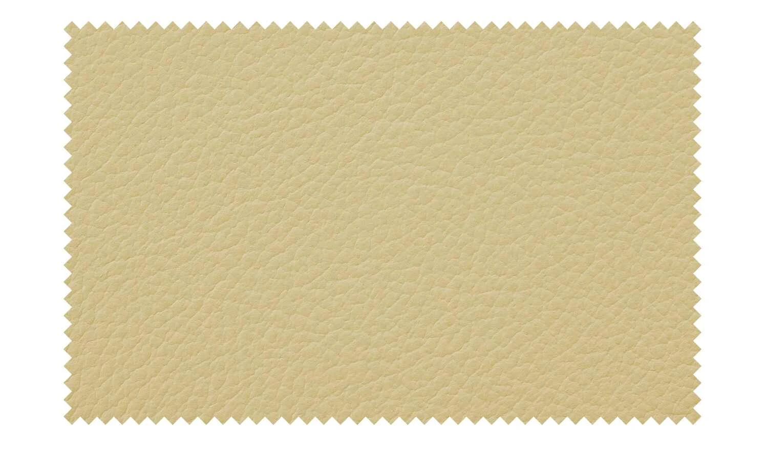 Woodford Leder-Polsterstuhl Marion | Beige 8 Woodford Leder-Polsterstuhl Marion | Beige – Bild 6