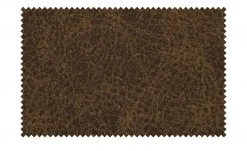 Schwingstuhl Dennis | Cappuccino (Beige) / Braun Ja -SitzWerk Verkaufsgeschäft 13303677 13 201907232252