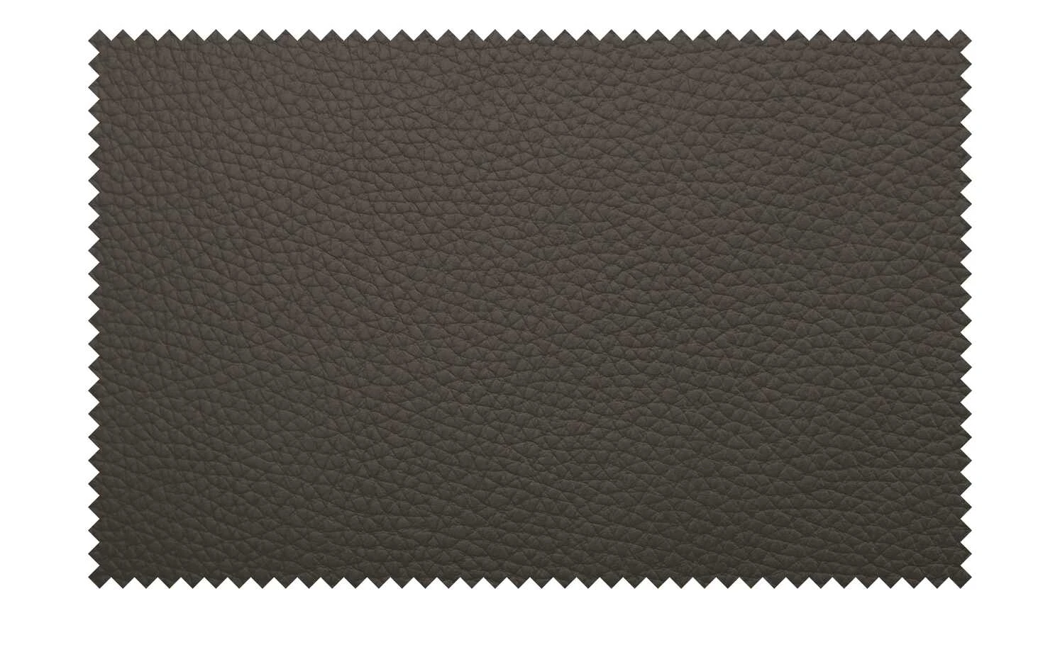 KOINOR Leder-Schwingstuhl Sqare | Carbone (Dunkelbraun) 10 KOINOR Leder-Schwingstuhl Sqare | Carbone (Dunkelbraun) – Bild 8