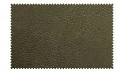 KOINOR Kufenstuhl mit Leder Bexx | Verde (Dunkelgrün) / Beige Ja 14 KOINOR Kufenstuhl mit Leder Bexx | Verde (Dunkelgrün) / Beige Ja -SitzWerk Verkaufsgeschäft 13304458 1 202111232233