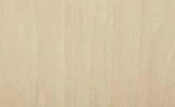 Stapelstuhl Tom | Birke Natur -SitzWerk Verkaufsgeschäft 13304675 8 201907292246