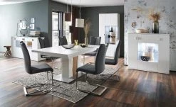 uno Polsterschwingstuhl Vota | Anthrazit -SitzWerk Verkaufsgeschäft 13307207 7 202109202232