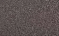 uno Freischwinger Letitia | Braun Leder -SitzWerk Verkaufsgeschäft 13314406 1 201811271501