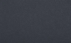 uno Freischwinger Letitia | Nachtblau Leder -SitzWerk Verkaufsgeschäft 13314410 2 201811271510