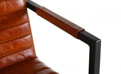 Freischwinger Buff | Cognac (Orange - Braun) 12 Freischwinger Buff | Cognac (Orange - Braun) -SitzWerk Verkaufsgeschäft 13347415 4 202102231239