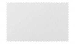 Polsterstuhl Richard | Weiß -SitzWerk Verkaufsgeschäft 14301322 8 201912112235