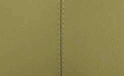 Berger & Rath Kufenstuhl Leder Lanx | Hellgrün -SitzWerk Verkaufsgeschäft 14302233 4 202102151237