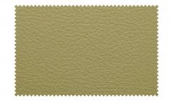 Berger & Rath Kufenstuhl Leder Lanx | Hellgrün -SitzWerk Verkaufsgeschäft 14302233 6 202102151237