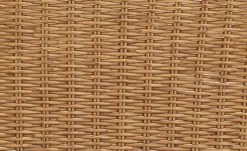 Freischwinger Gérard | Schwarz -SitzWerk Verkaufsgeschäft 14303836 3 202006191619