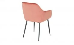 Stuhl Brad | Koralle 16 Stuhl Brad | Koralle -SitzWerk Verkaufsgeschäft 14305246 6 202110221251