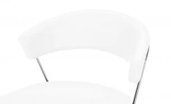 Connubia Kufenstuhl Leder New York | Schneeweiß -SitzWerk Verkaufsgeschäft 14305787 5 202112022232