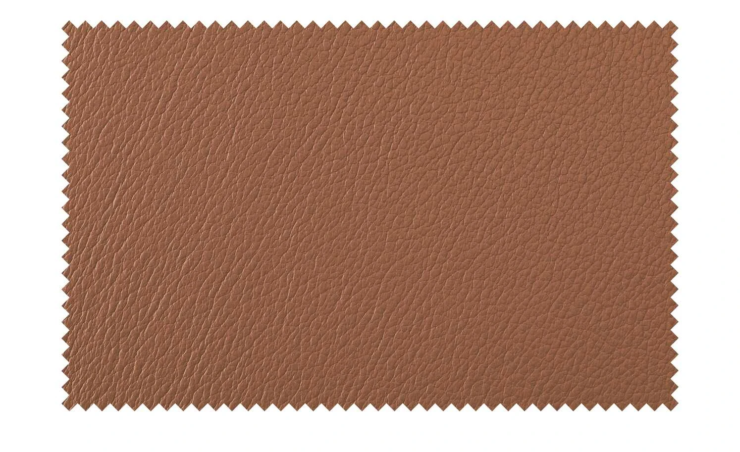 Wohnwert Leder-Schwingstuhl Jalto | Cognacbraun Ja 5 Wohnwert Leder-Schwingstuhl Jalto | Cognacbraun Ja – Bild 3