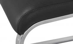 Wohnwert Freischwinger Mero | Schwarz Nein -SitzWerk Verkaufsgeschäft 14306327 4 202011272239