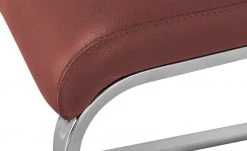 Wohnwert Freischwinger Mero | Rostrot / Grau Nein -SitzWerk Verkaufsgeschäft 14306328 7 202011272239