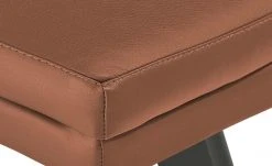 Berger & Rath Leder-Polsterstuhl Arcu | Cognac (Orange - Braun) Anthrazit -SitzWerk Verkaufsgeschäft 14307142 3 202101262258