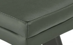 Berger & Rath Leder-Polsterstuhl Arcu | Verde (Grün) Anthrazit -SitzWerk Verkaufsgeschäft 14307143 7 202101262258