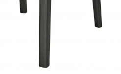 Berger & Rath Polsterstuhl Certo | Creme Anthrazit Nein -SitzWerk Verkaufsgeschäft 14307258 3 202105181235